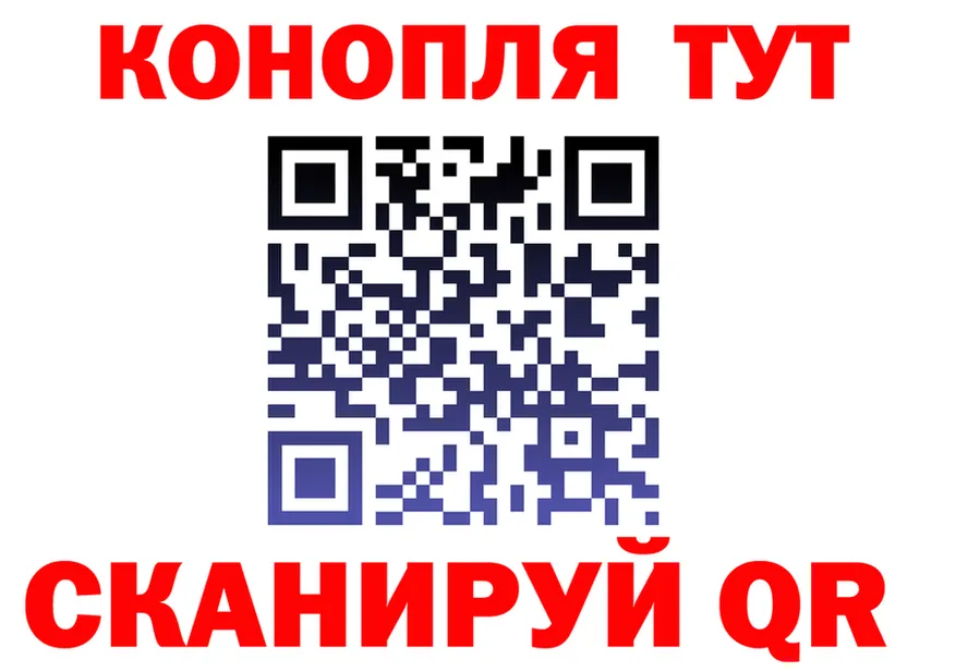 Alfa_PVP крисы CK ТОР площадка MEGA Бердск