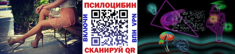 Галлюциногенные грибы Psilocybe Бердск